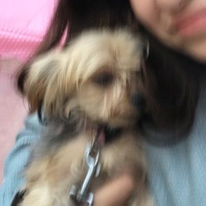 Meet your Posher, Daira